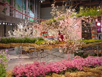 パシフィックフローラ2004 浜名湖花博庭文化創造館｜株式会社 藤崎事務所